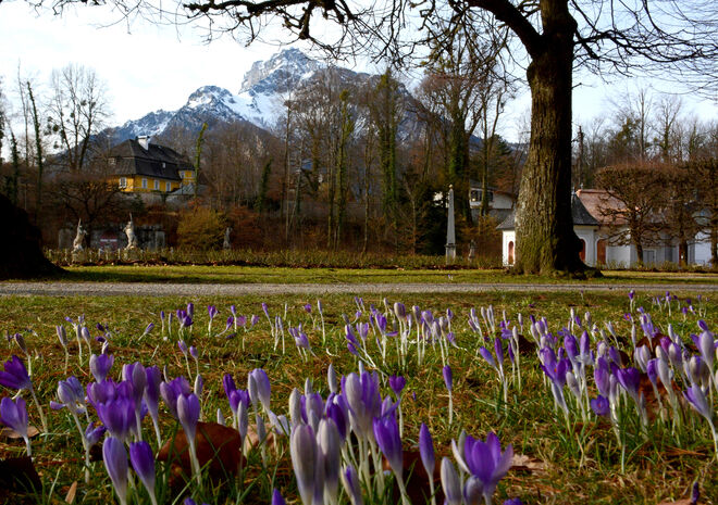 Vorfrühling in Hellbrunn