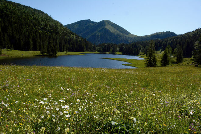 Kleinod im Tennengau: Seewaldsee