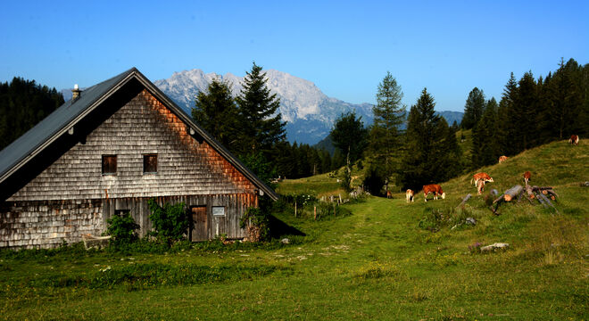 Wallingalm