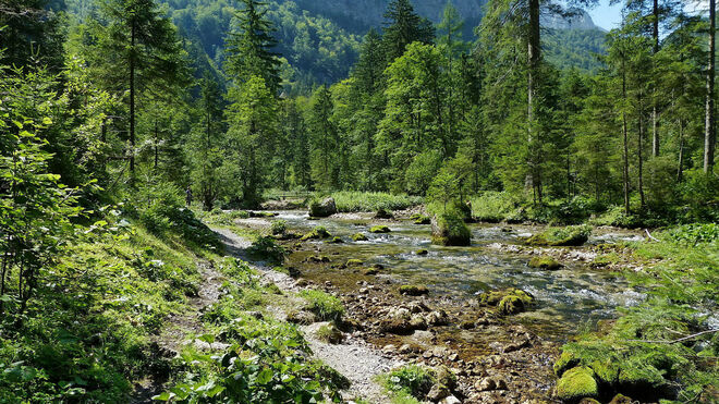 Wandern im Bluntautal