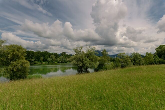 Blick zum Salzachsee