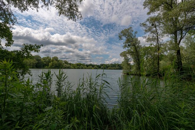 Am Salzachsee