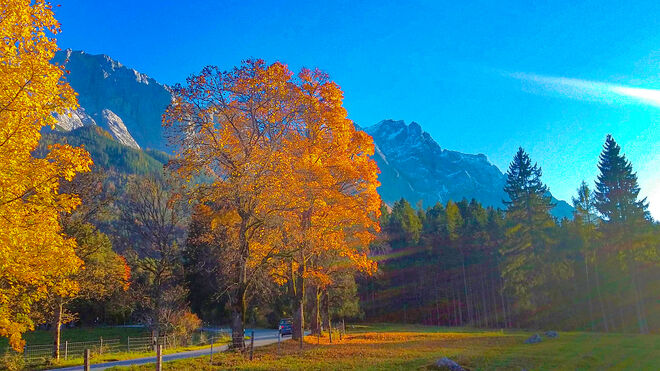 Herbstleuchten