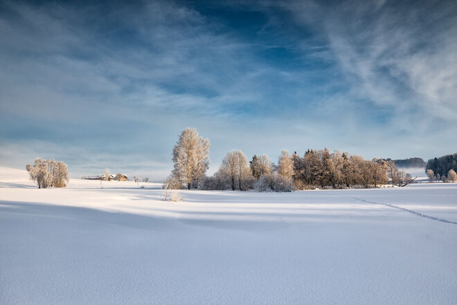 prächtiger Wintermorgen ...