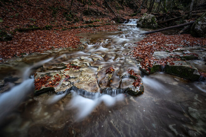 Herbstwasser ...