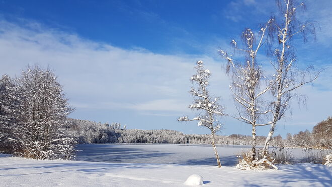 Allein am See