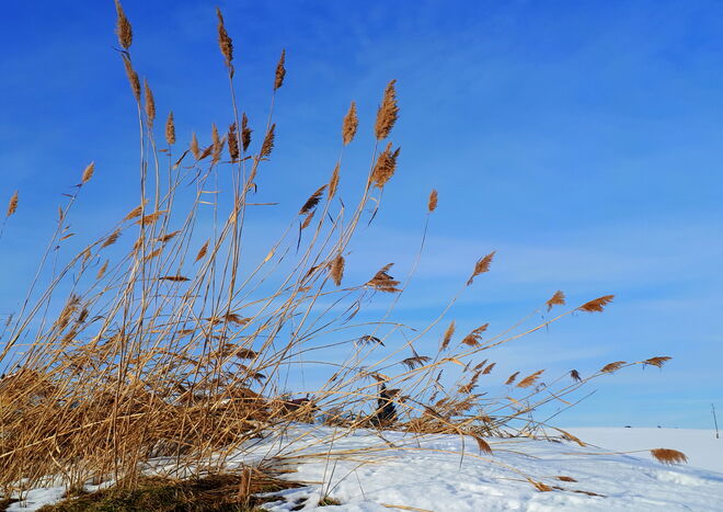 Winterliche Impression
