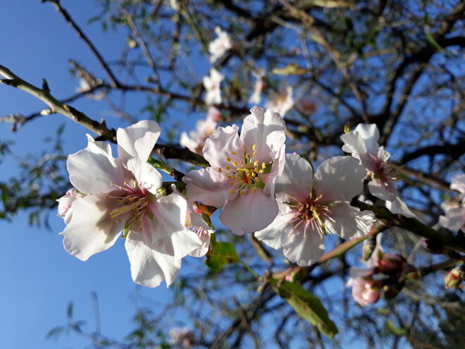 Auf Frühlingssuche....