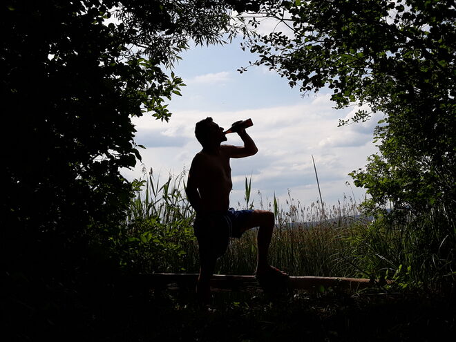 Der Schattenmann