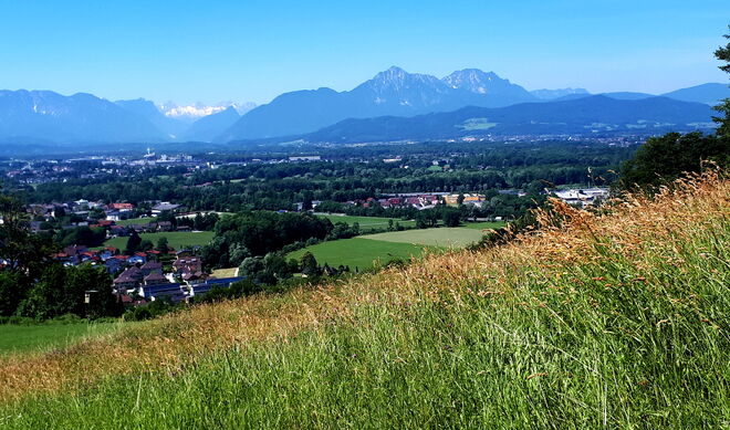Blick auf den Hohen Staufen und die Loferer Steinberge