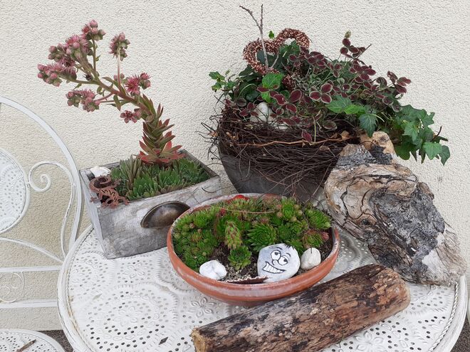 Gartenfreude