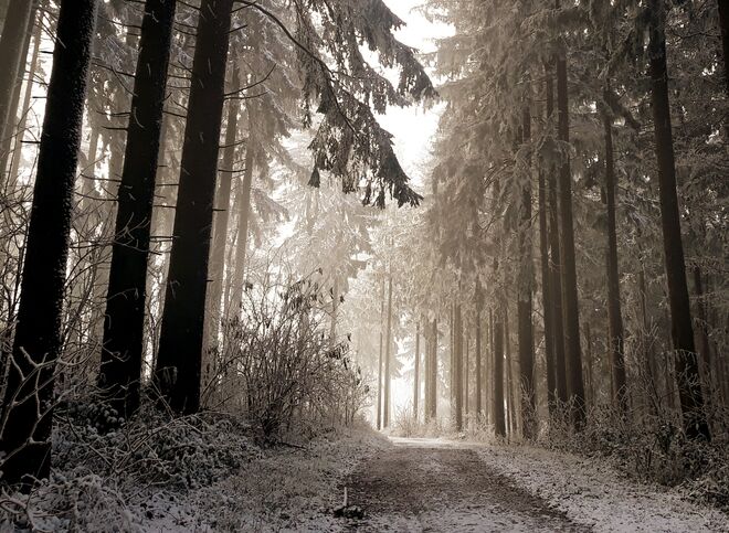 Der Weg in den Winter.....