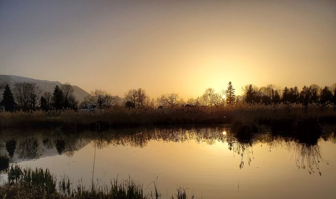 Natur pur