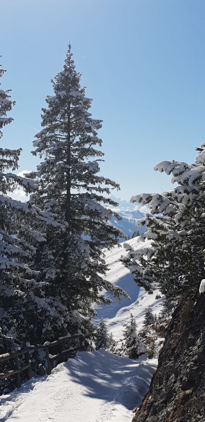 Ausblicke vom Hochkönig