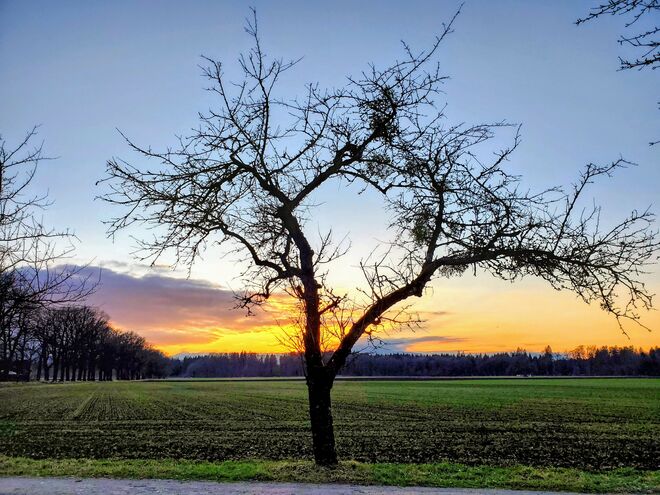 Greif den Augenblick