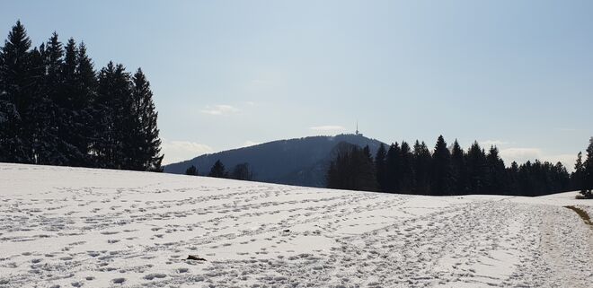 Eugendorfer Berg