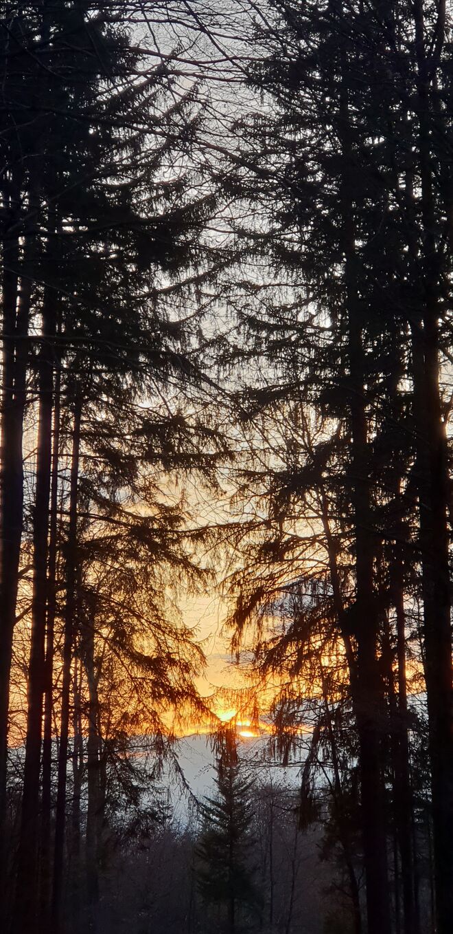 Abendstimmung