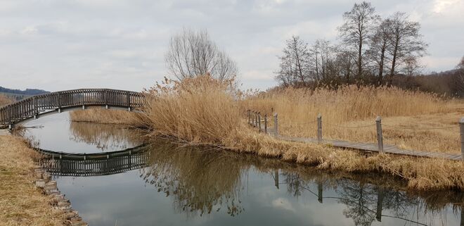 Obertrumer Spiegelungen