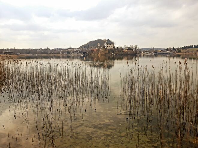 Am Mattsee