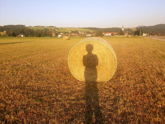 Selbstportrait