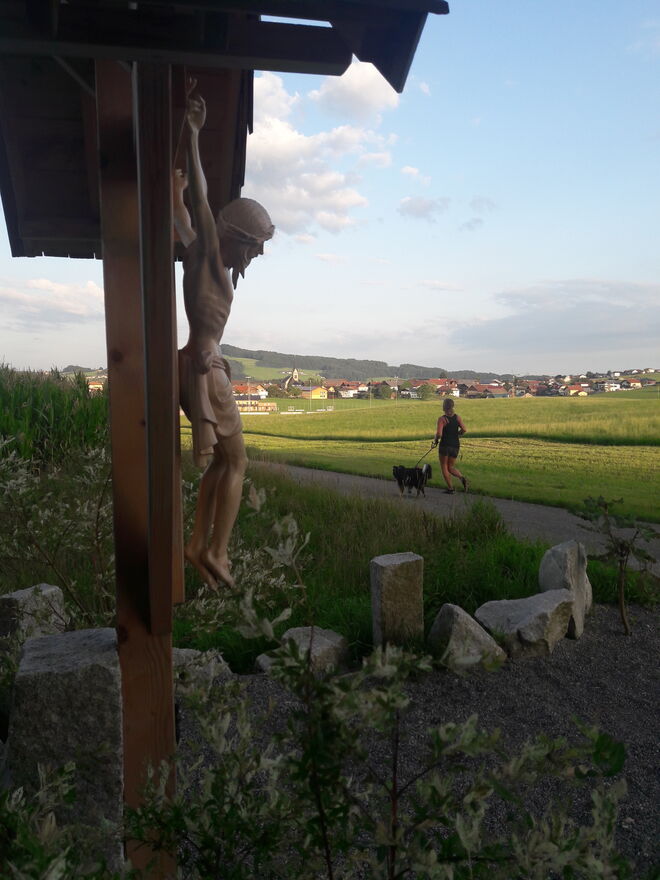 Joggerin mit Hund