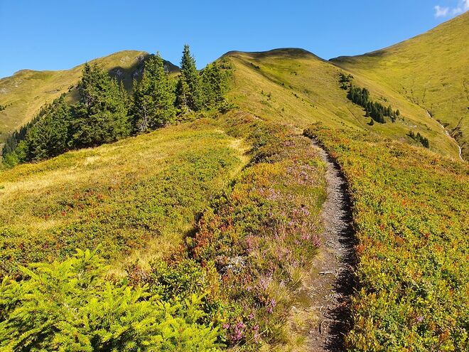 Spätsommerwandern