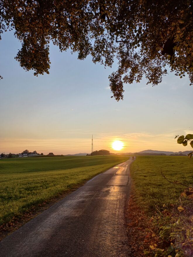 ABENDSTIMMUNG