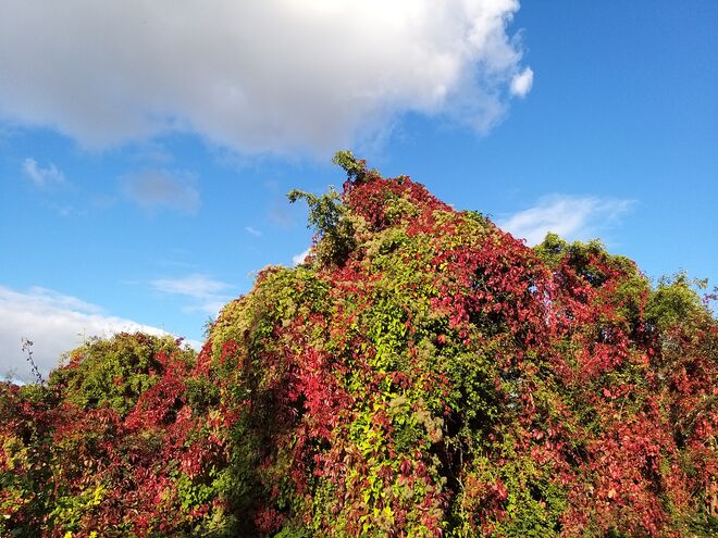 Herbst im "Endspurt"