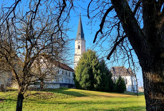 Frühlingserwachen