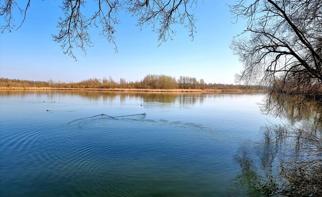 Untere Innauen