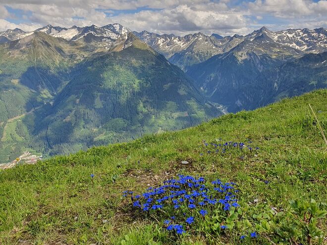 Sommertag auf 2000m