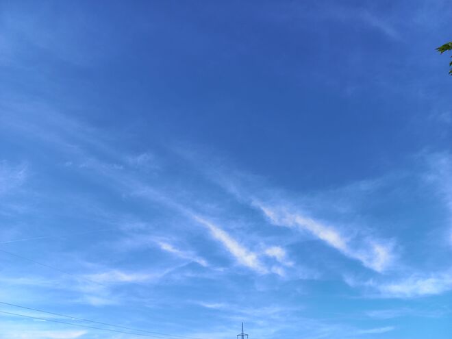 IM FLUG