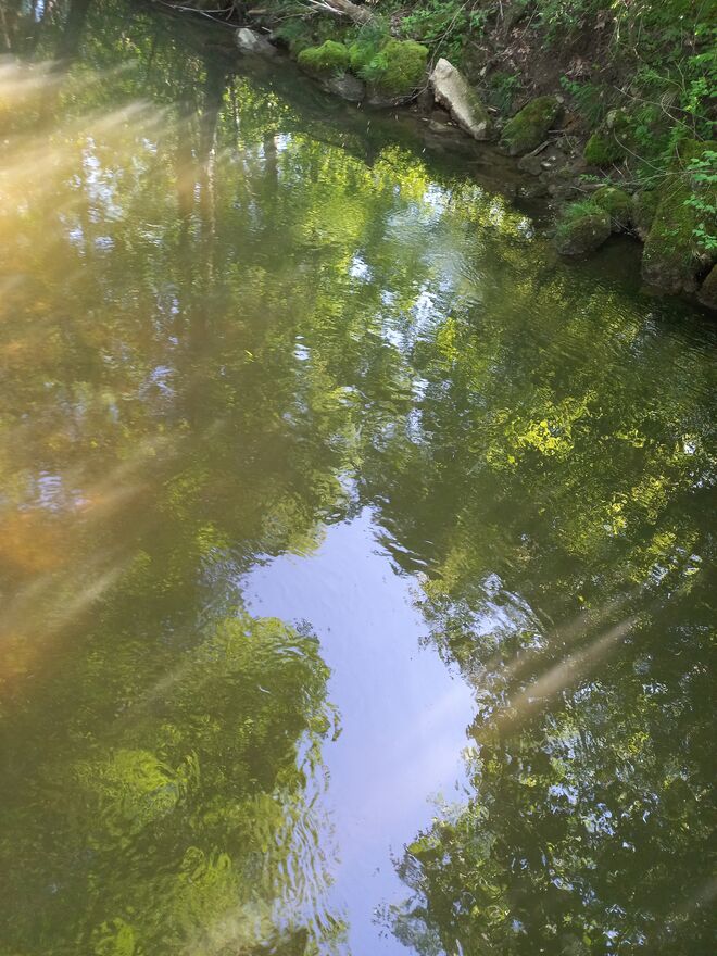 LICHTBLICKE IM SPIEGELBILD