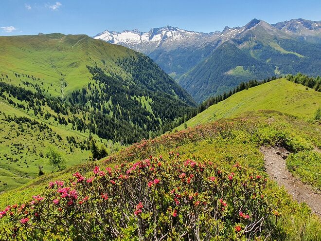 Vatertag am Berg