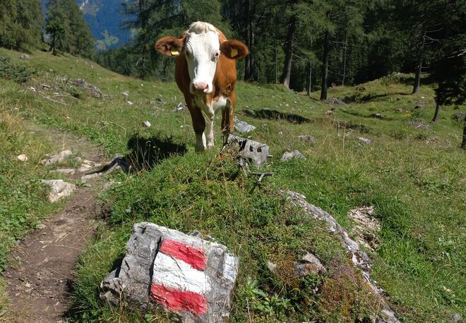 I am from Austria.....