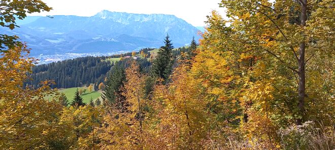 Herbststimmung
