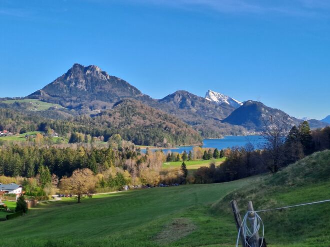 Schafberg im Winterkleid