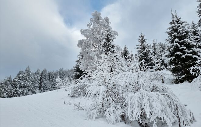 Kleiner Winterzauber