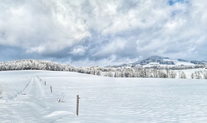 Winterlandschaft