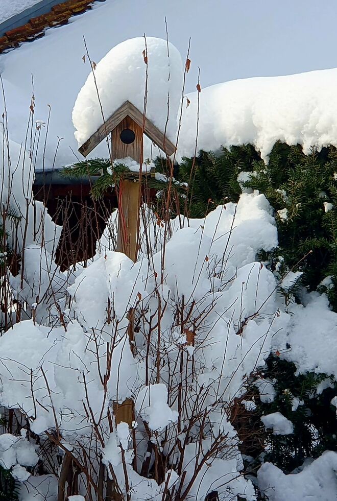 Tiefverschneiter Garten