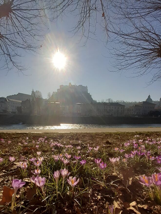 Hinein in den Frühling!