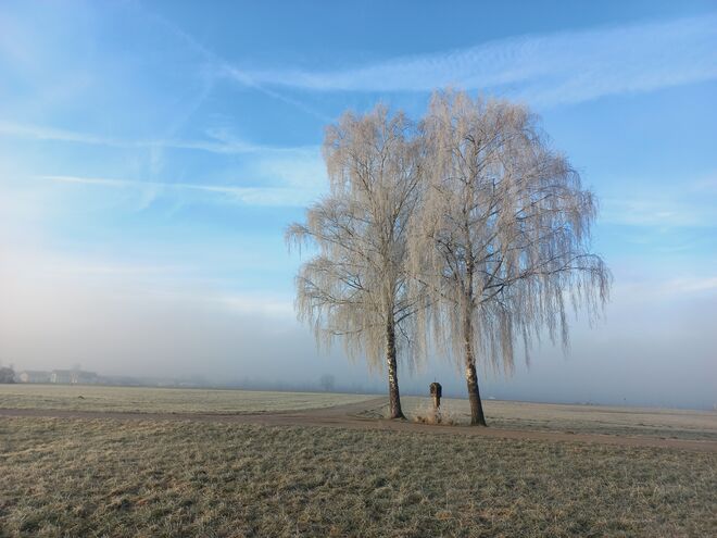 Winter im Flachgau....