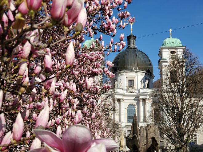 Hello Frühling