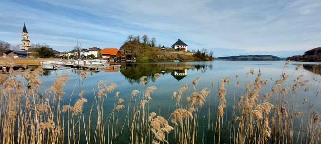 Vorfrühling am Mattsee