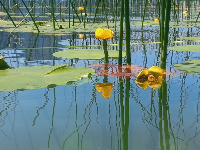 Am Mondsee