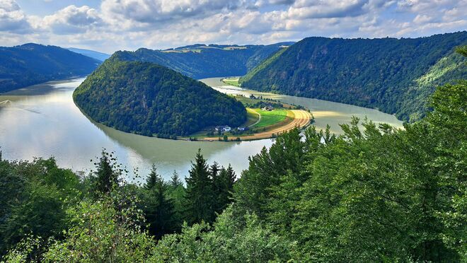 An der Donauschlinge