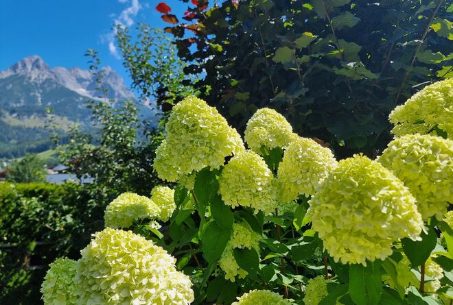 Gartenidylle