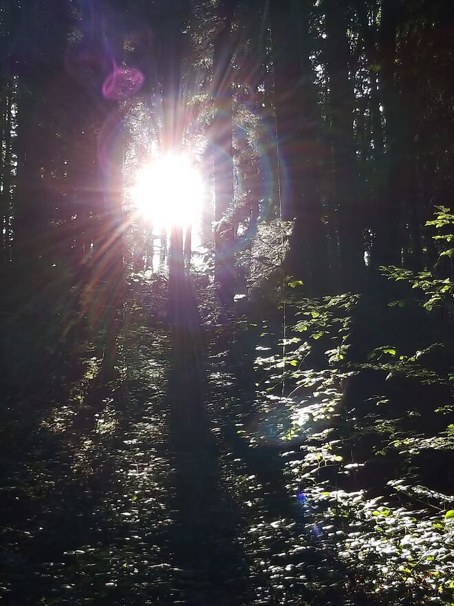 Waldbaden...