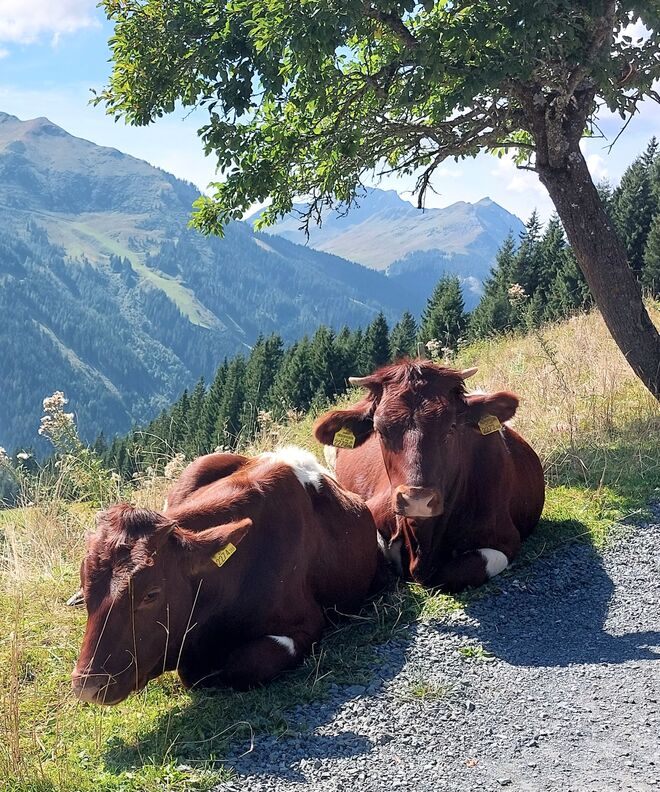 Zu zweit ist's einfach schöner!