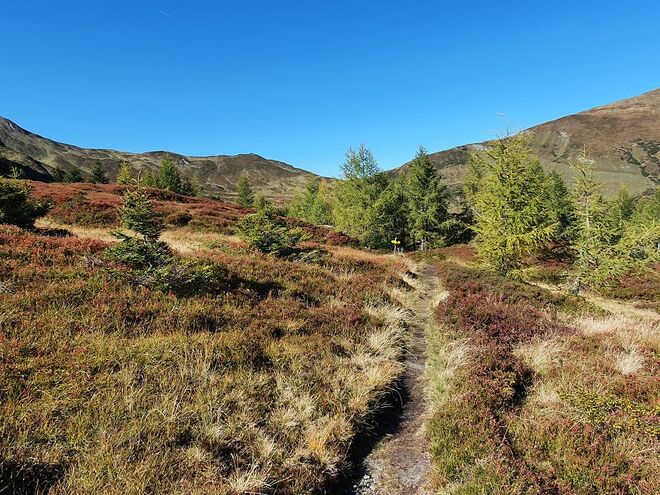 Herbsttag am Berg